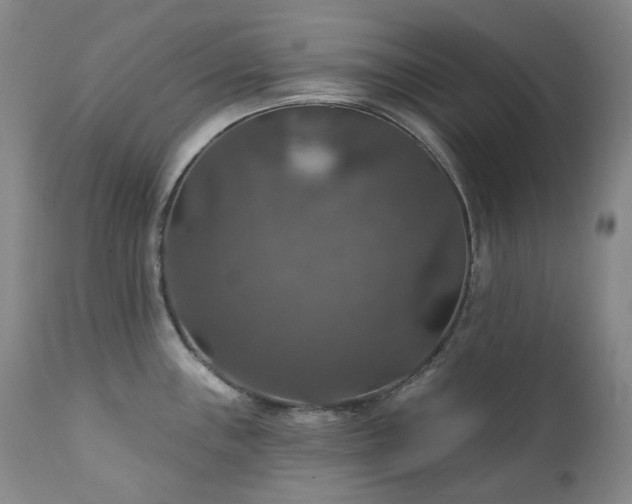 X0000112021243200908031349