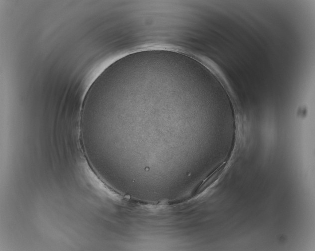 X0000112021244200908031349