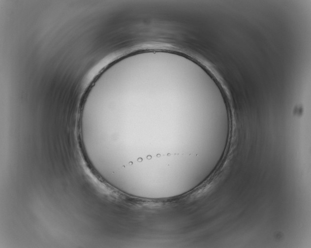 X0000112021245200908031349