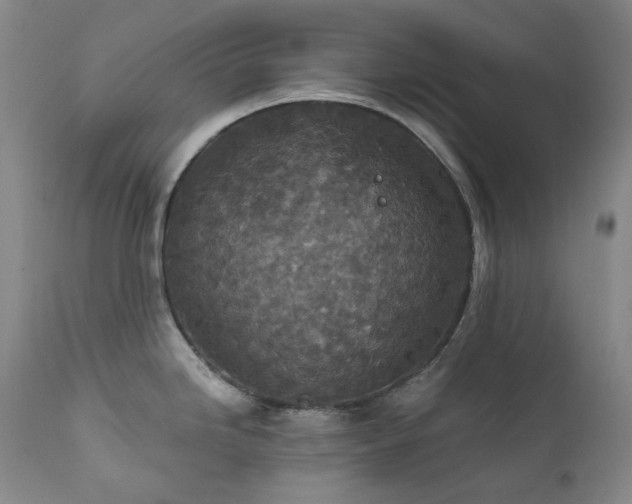 X0000112021246200908031349