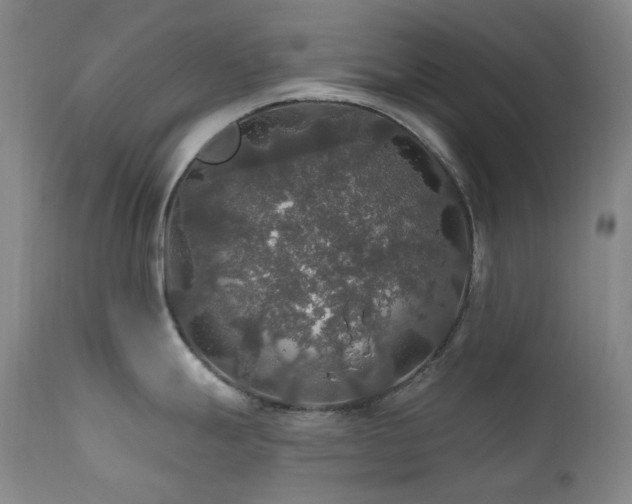 X0000112021247200908031349