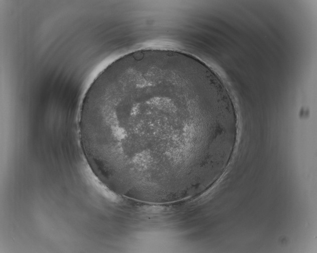 X0000112021248200908031349