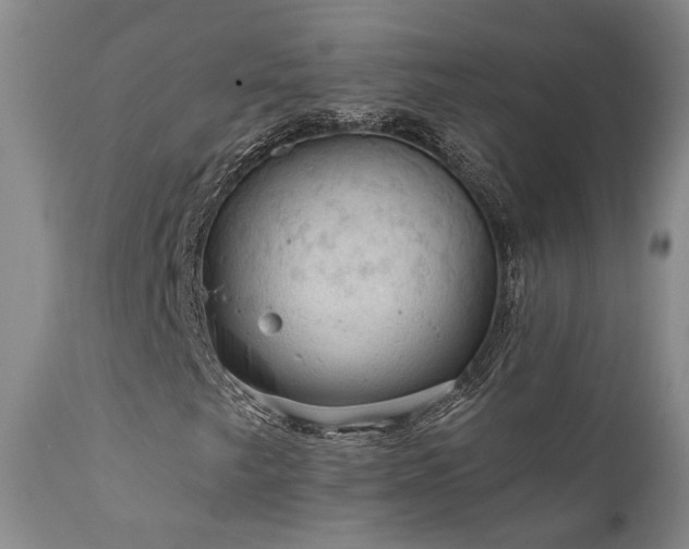 X0000112021249200908031349