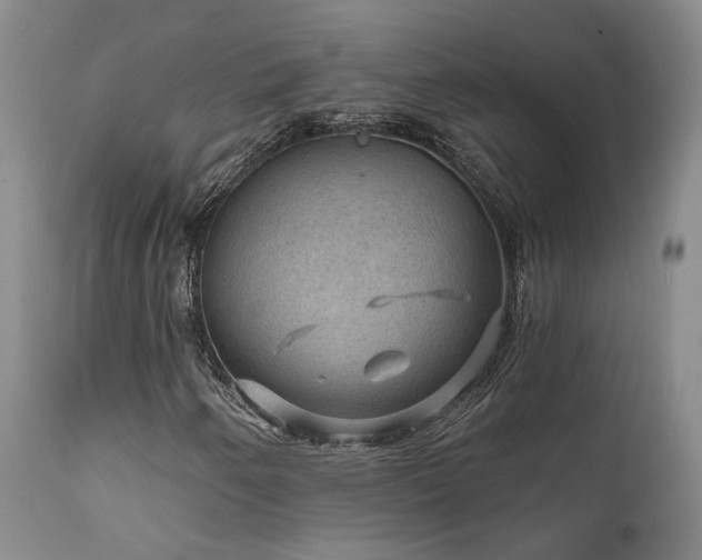 X0000112021250200908031349