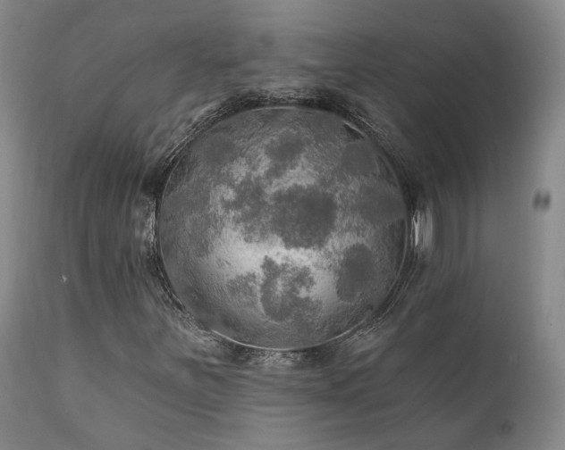 X0000112021251200908031349