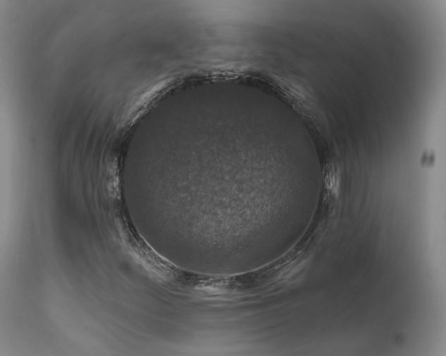 X0000112021252200908031348