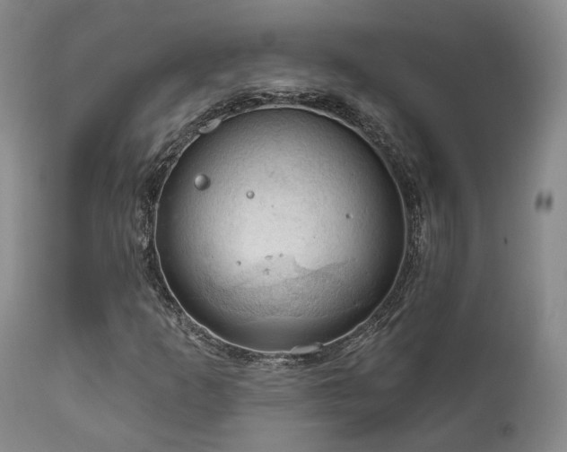 X0000112021253200908031348