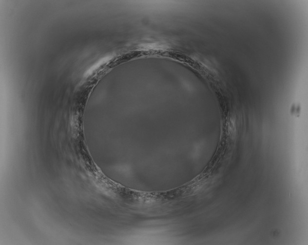 X0000112021254200908031348