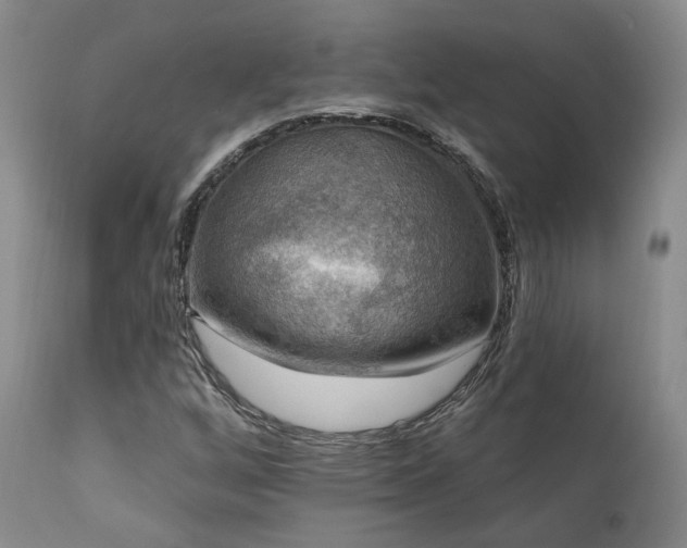 X0000112021256200908031348