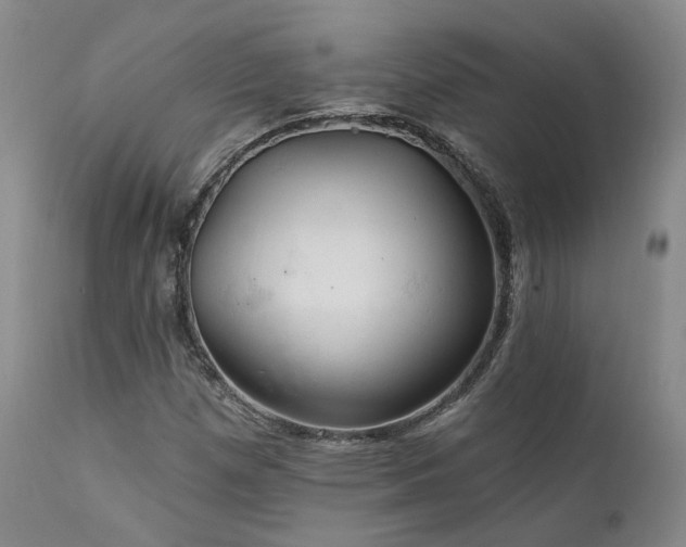 X0000112021257200908031348