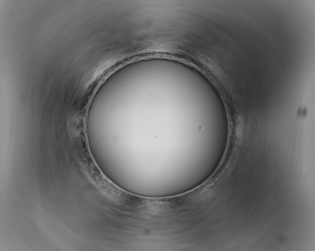 X0000112021258200908031348