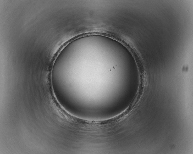 X0000112021260200908031348