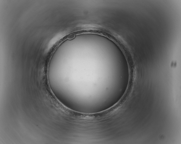 X0000112021261200908031348