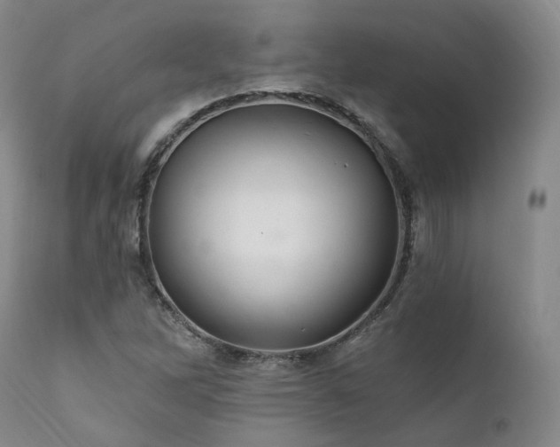 X0000112021262200908031348