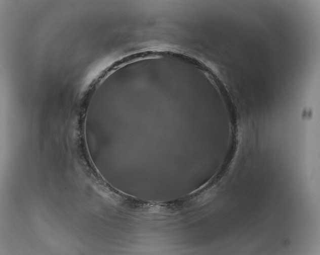 X0000112021263200908031348