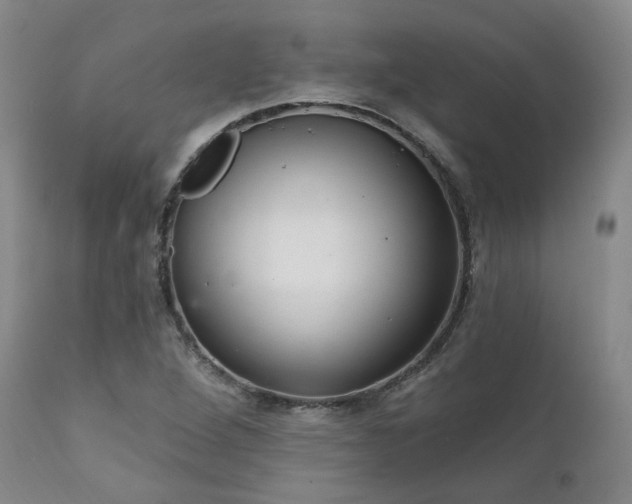 X0000112021264200908031348