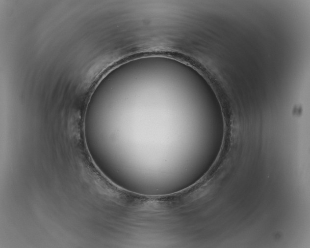 X0000112021265200908031348