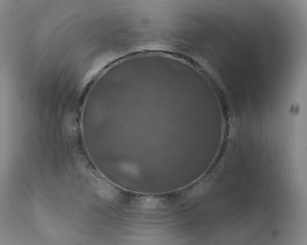 X0000112021266200908031348