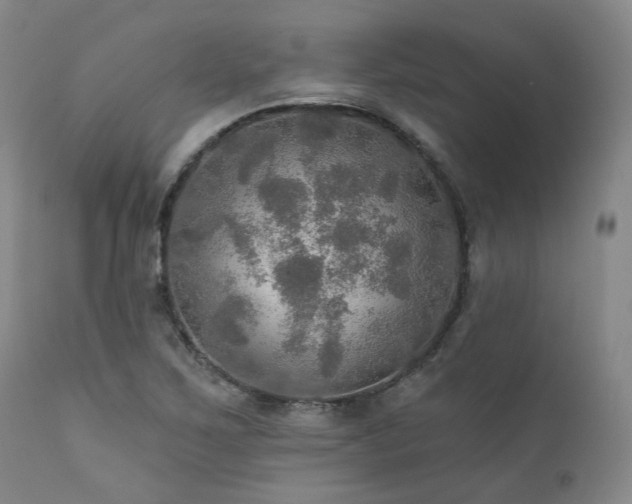 X0000112021267200908031348