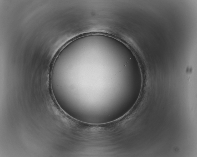 X0000112021268200908031348