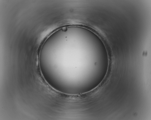 X0000112021269200908031348