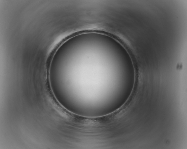 X0000112021270200908031348