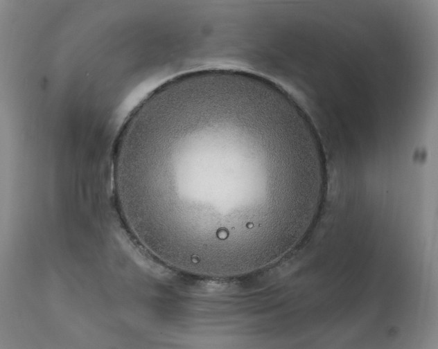 X0000112021271200908031348