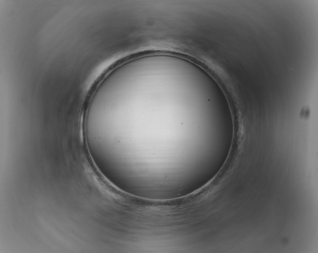 X0000112021272200908031348