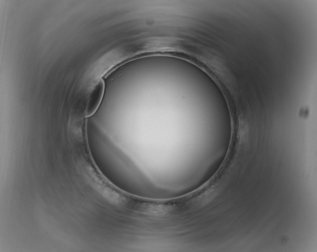 X0000112021273200908031348