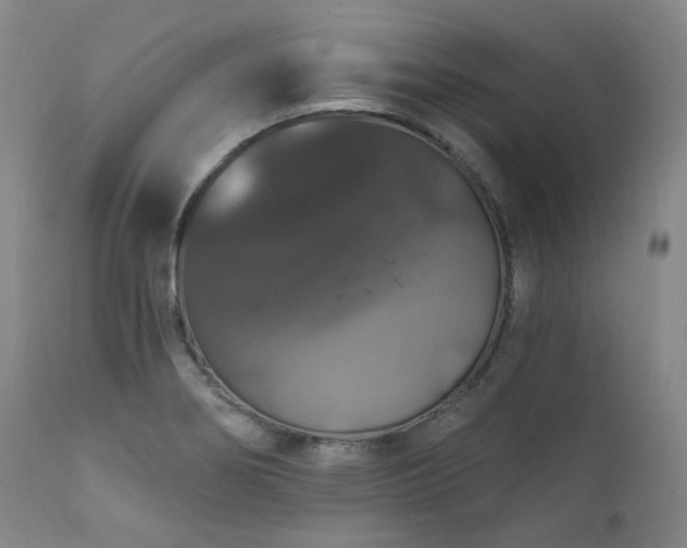 X0000112021274200908031348