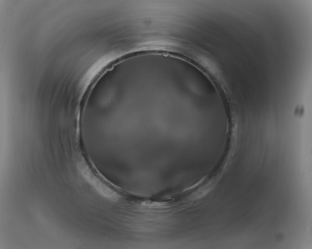 X0000112021275200908031348