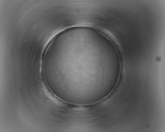 X0000112021276200908031348