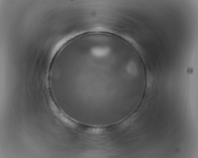 X0000112021278200908031348