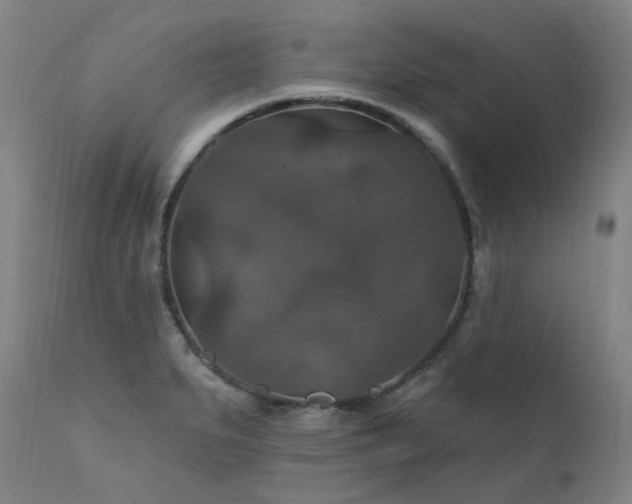 X0000112021279200908031348