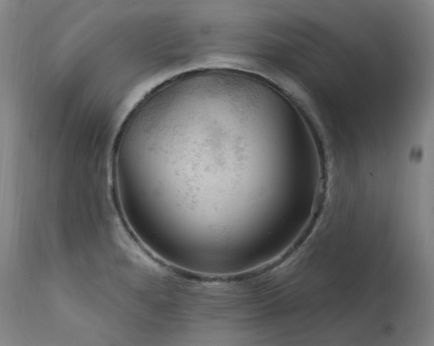 X0000112021280200908031348