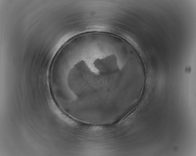 X0000112021283200908031348