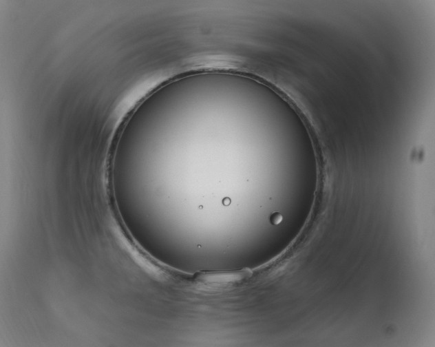 X0000112021285200908031348