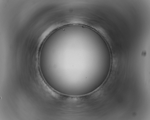 X0000112021286200908031348