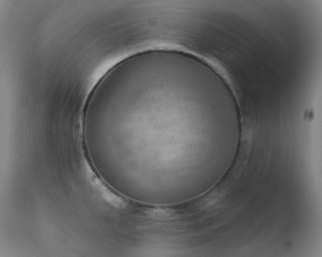 X0000112021287200908031348