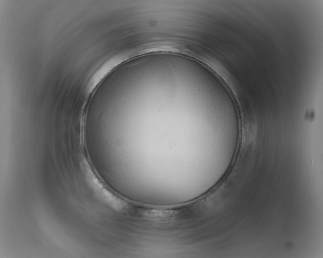 X0000112021290200908031348