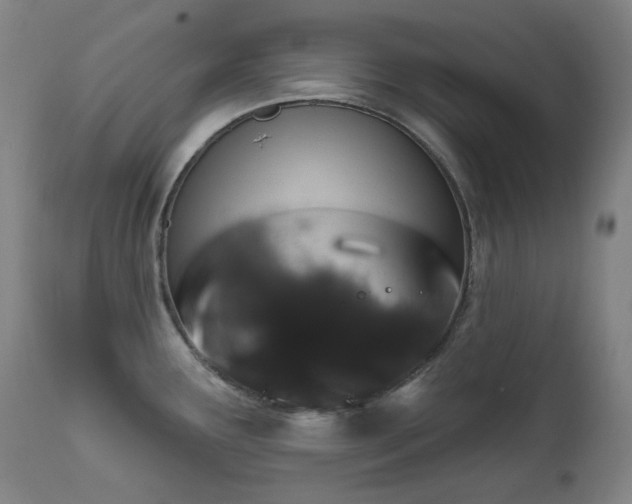 X0000112021291200908031348