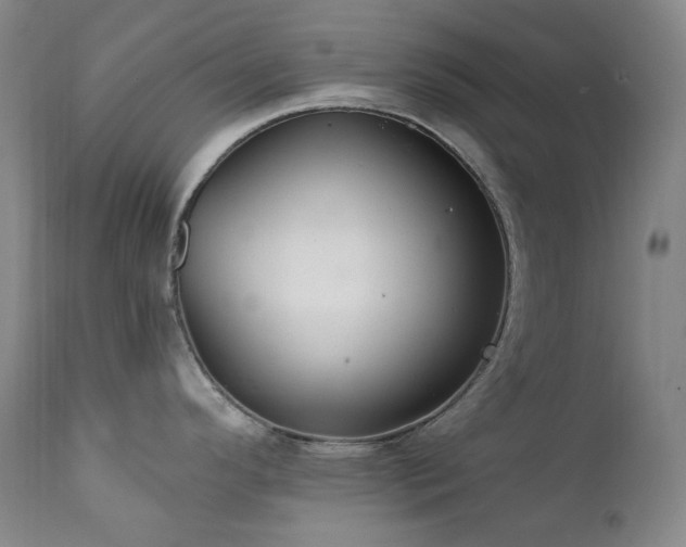 X0000112021296200908031348