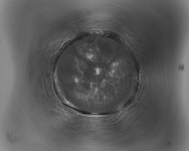 X0000112021297200908031347