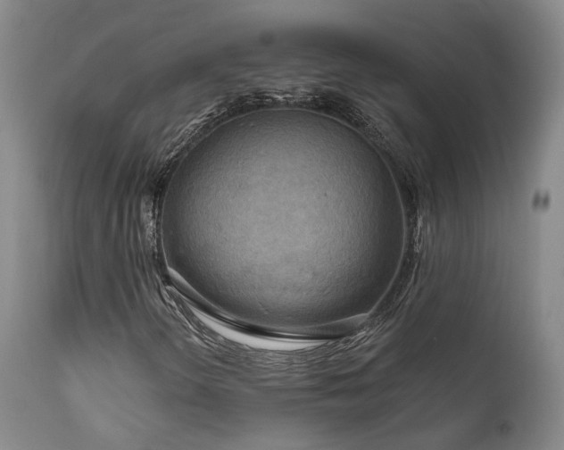 X0000112021298200908031347