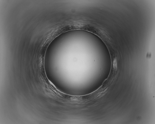 X0000112021299200908031347