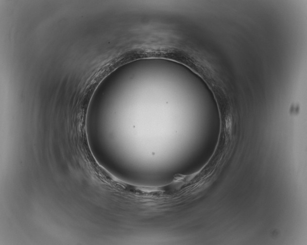 X0000112021300200908031347