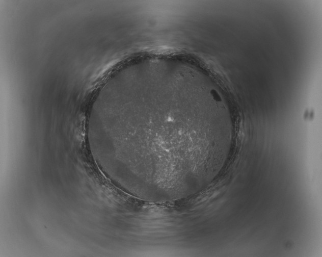 X0000112021301200908031347