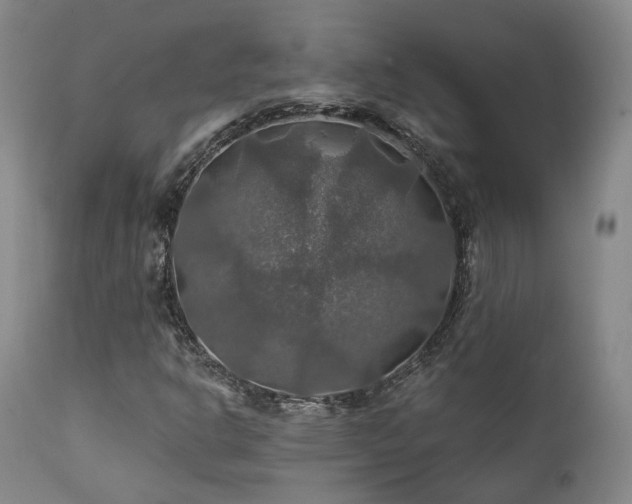 X0000112021302200908031347