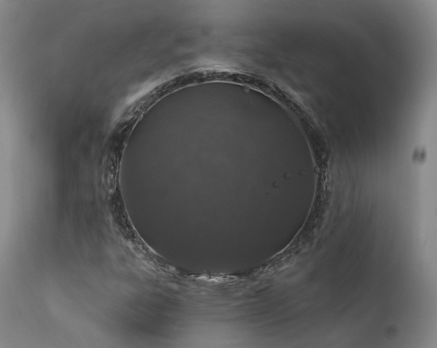 X0000112021303200908031347