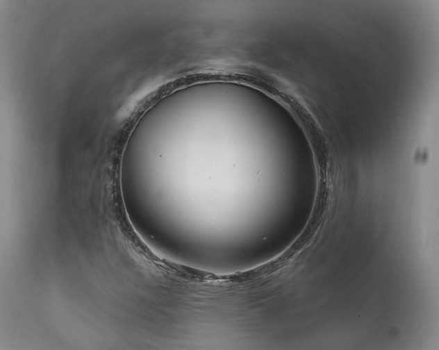 X0000112021304200908031347